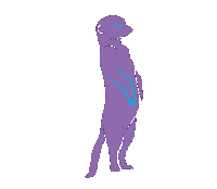 F45Training Sticker by Northeastheights F45