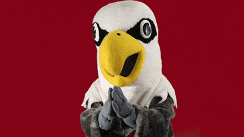 uwlacrosse slow clap uwl uwlax uwlacrosse GIF