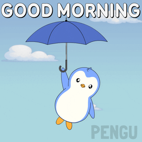 Good Morning Penguin GIF by Pudgy Penguins