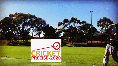 cricket precise GIF