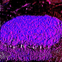 glitch montreal GIF by Death Orgone
