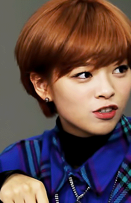 compilation GIF