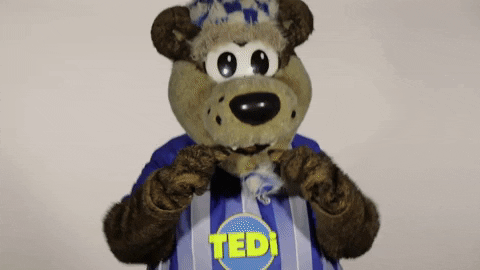 Hertha Berlin Sport GIF by Hertha BSC