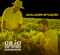 graodeouroagronegocios  GIF