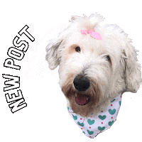New Post Dog Sticker