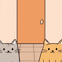 Am I Late What Happened GIF