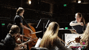 strazcenter music bass musician violin GIF
