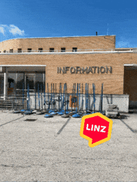 Austria Omg GIF by Linz News