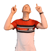 laurensvandervelde look up wijzen point up hierboven Sticker