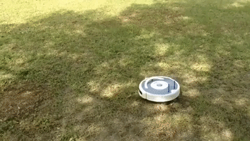 Remote Controlled Roomba Speeds Around Park