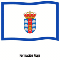 Castilla-La Mancha Bandera GIF by Formación Ninja