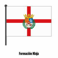 Flag Spain GIF by Formación Ninja