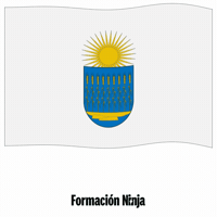 Bandera GIF by Formación Ninja