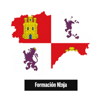 Castilla Y Leon Flag Sticker by Formación Ninja