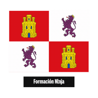 Castilla Y Leon Flag Sticker by Formación Ninja