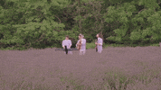 Ajr Brothers GIF by AJR