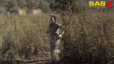 Run Challenge GIF by Channel 7
