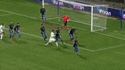 Hbs GIF by IPFL