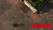 Airborne Ranger GIF by MicroProse