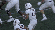 Football Touchdown GIF by Lafayette Leopards