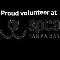 spcatampabay spca spca tampa bay spcatampabay spca largo GIF