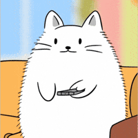 White Cat Popcorn GIF by MESA My Emotional Support Animal