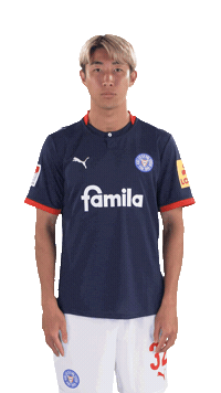 Var Sticker by Holstein Kiel