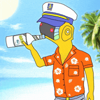 Summer Drinking GIF by Paft Drunk