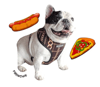 French Bulldog Sticker by frenchiepetsupply