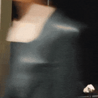 Orm Tumi GIF