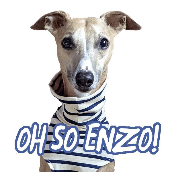 Dog Puppy Sticker by Macattack