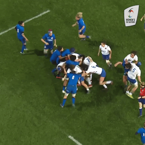 Womens6Nations giphyupload france rugby french GIF
