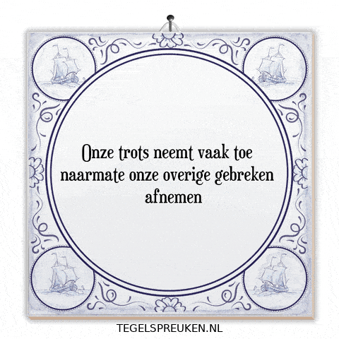 Humor Reflectie GIF by Tegelspreuken.nl
