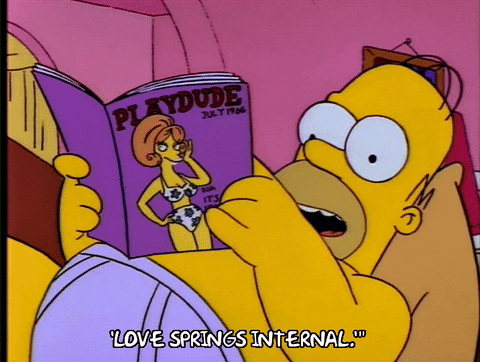 homer simpson episode 3 GIF