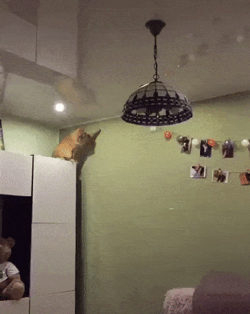 Studley_Dowrong giphyupload GIF