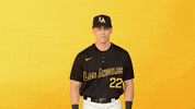 Cal State La Sport GIF by Cal State LA Golden Eagles