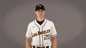 Cal State La Baseball GIF by Cal State LA Golden Eagles