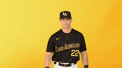 Cal State La Sport GIF by Cal State LA Golden Eagles