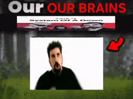 Our Brains Are System Of A Down GIF