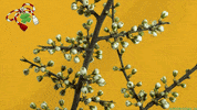 Greeting Cards Spring GIF by echilibrultau