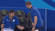 Gesture Slovenia GIF by Volleyball World
