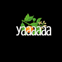 Thecleantangerine ya bolivia lapaz colla GIF