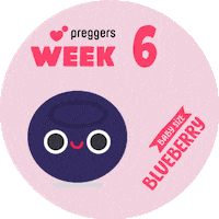 Baby Pregnancy Sticker by Preggers