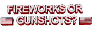 Fireworks or Gunshots? STICKER by AnimatedText