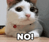 No GIF
