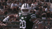 OhioBobcats football cats ncaa college football GIF