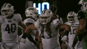 OhioBobcats football cats ncaa college football GIF