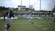 OhioBobcats football cats ncaa college football GIF