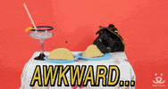 GIF by Best Friends Animal Society