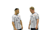 Sport Handball Sticker by TV Korschenbroich